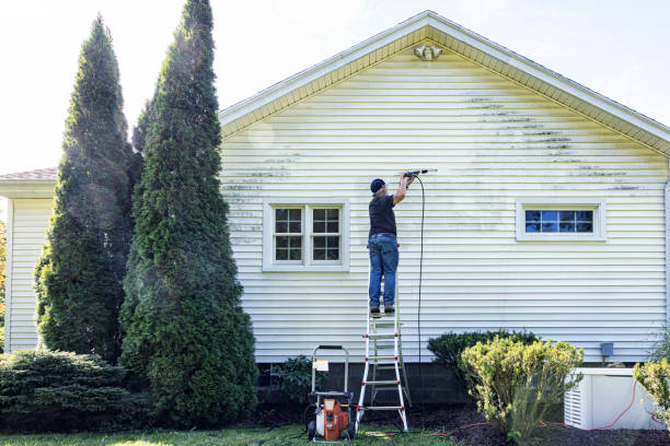 Animal Enclosure Cleaning in Van Horn, TX